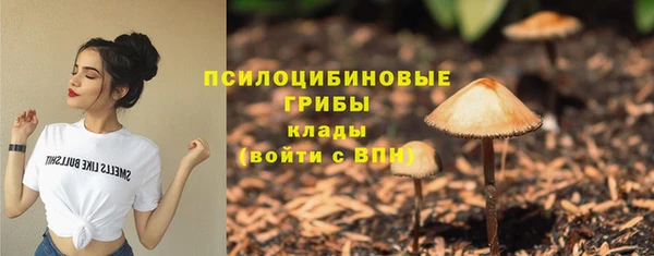 соль курить ск Алексеевка