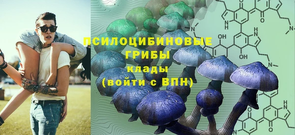 эйфоретик Дмитровск